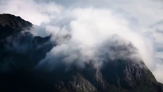  상쾌한 하루, 산책의 매력에 빠져보세요!