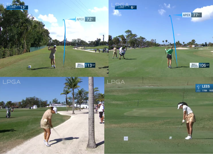 LPGA <b>파운더스 컵</b> 임진희 3위, <b>고진영</b> 공동 6위, <b>윤이나</b> 71위... 