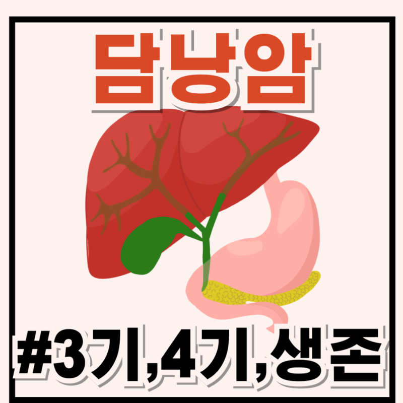 담낭암 3기, 4기 증상 및 생존율은 얼마?