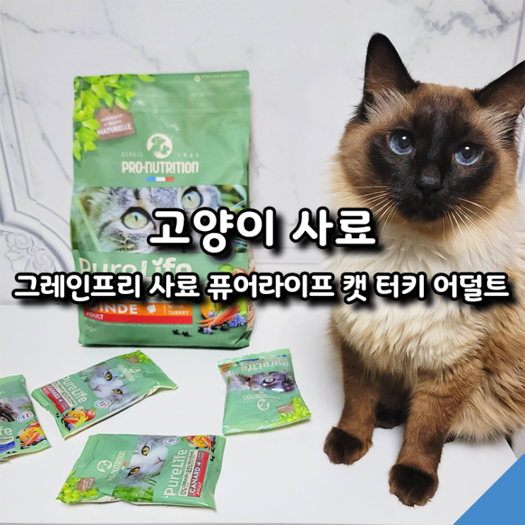  프랑스산 고양이 그레인프리 사료 추천, 퓨어라이프 캣 터키 어덜트