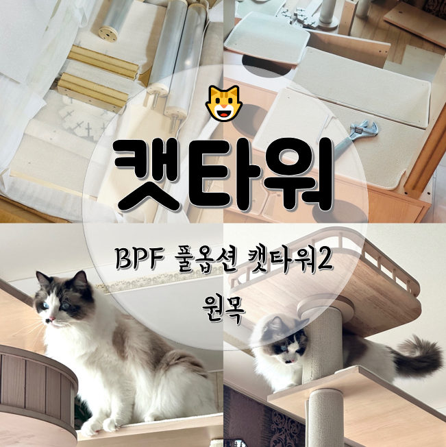 원목 BPF 풀옵션 캣타워2 고양이 캣폴
