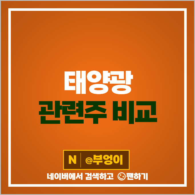 태양광 패널 관련주 테스 신성이엔지 에스와이 파루 주가 SDN 주식 태양광 패널 관련주 테스 신성이엔지 에스와이 파루 주가 SDN 주식