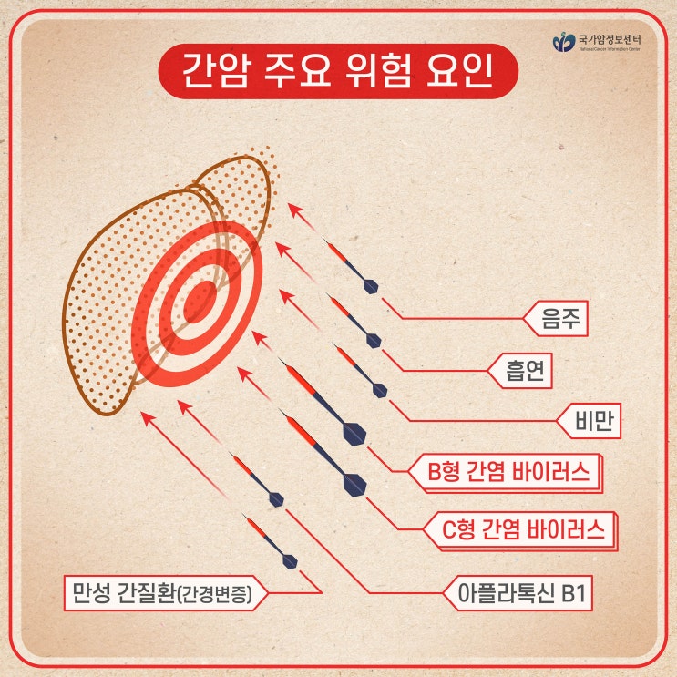  간암을 유발하는 주요 위험 요인은?