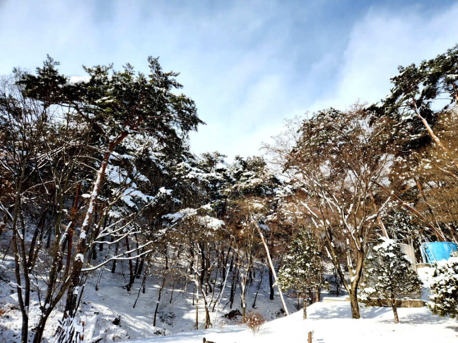 예산가 사진 1