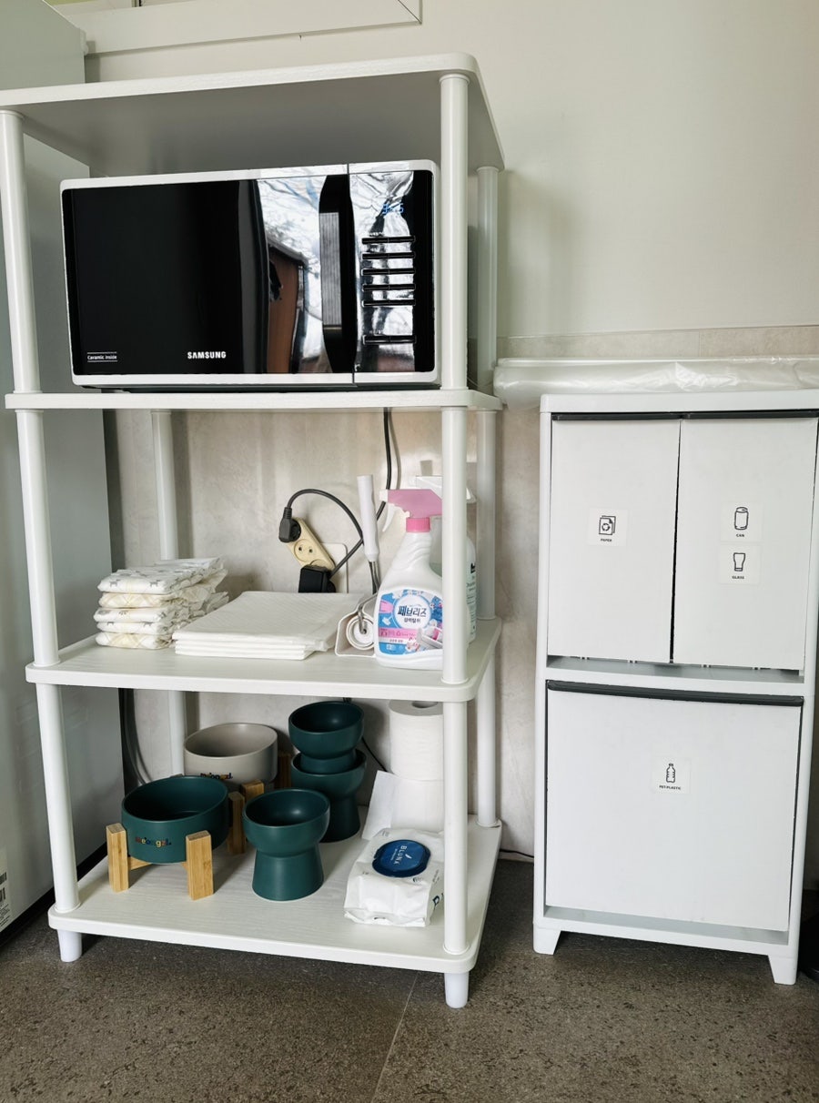 니니스테이 사진 5