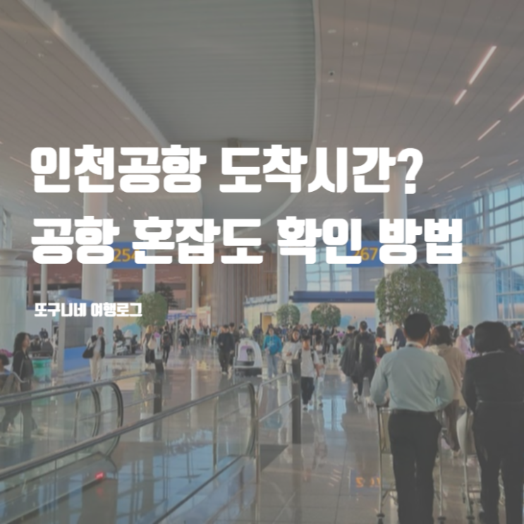  인천공항 도착시간 국제선 몇시간전 도착? 혼잡도 확인 방법