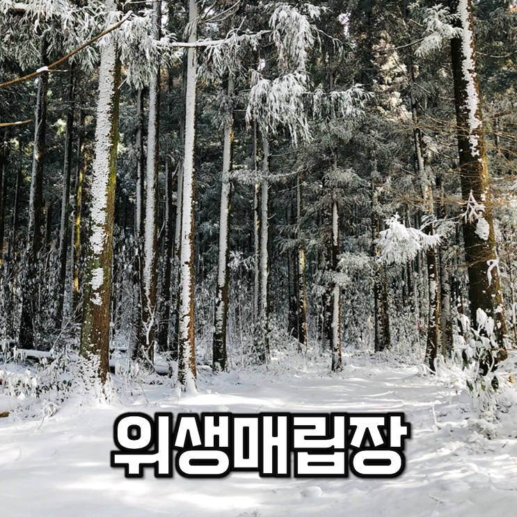  【여행】 한라산 돌오름길 구간을 지나 위생매립장을 가다