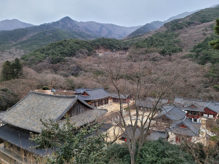  [구례 절] 화엄사 가보기!