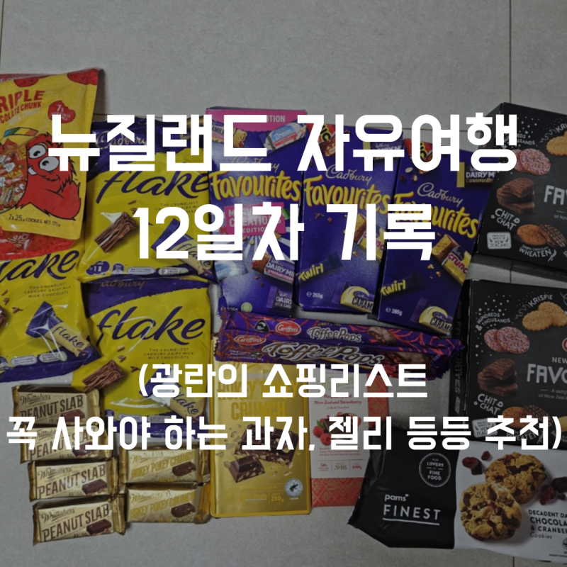 [해외여행] 뉴질랜드 자유여행_12일차 기록. 뉴질랜드 마지막날 광란의 쇼핑. 과자, 젤리, 추....