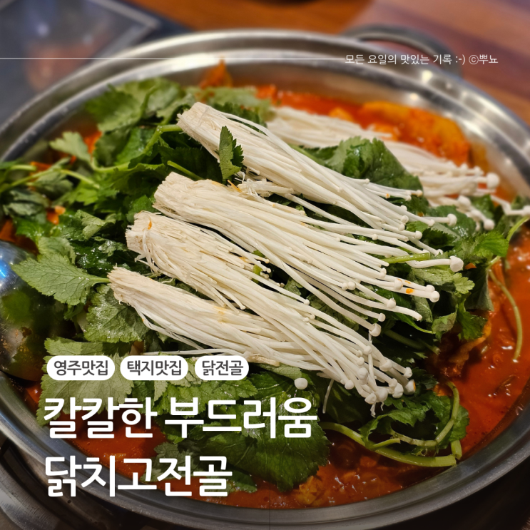  영주택지맛집 100% 순닭다리살과 얼큰함의 조화::  닭치고전골