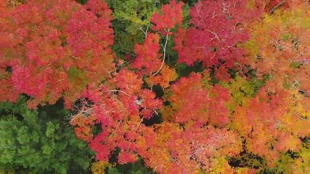  매달 새롭게 만나는 문화의 향연, 문화생활 기록