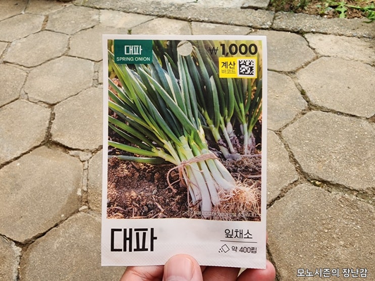  다이소 대파와 알타리무 잎채소 뿌리채소 씨앗 구매 후기