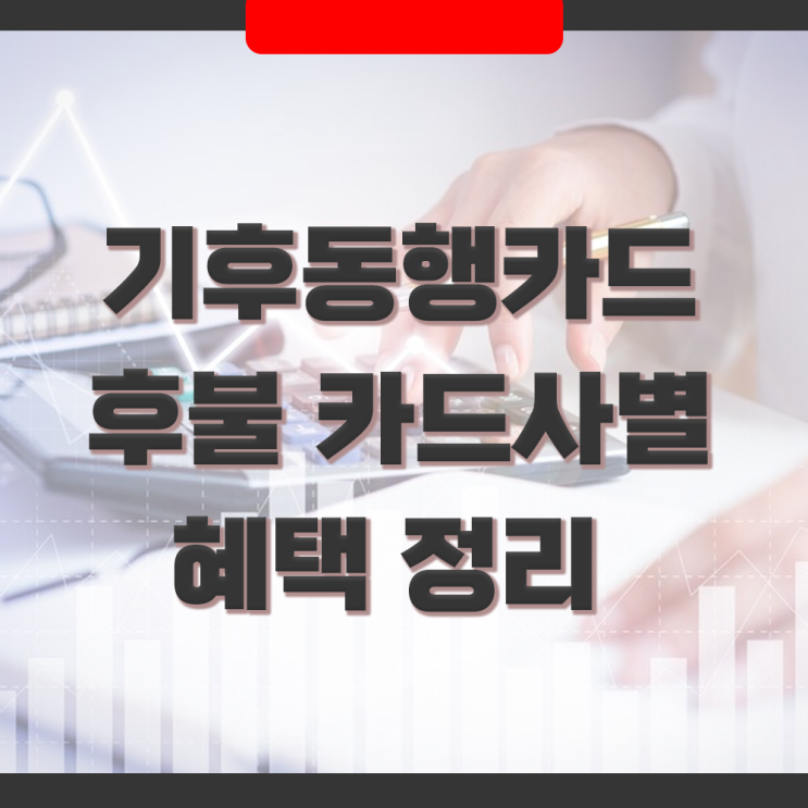  후불 기후동행카드(신용/체크) 적용구간, 청년할인, 카드사별 혜택 비교