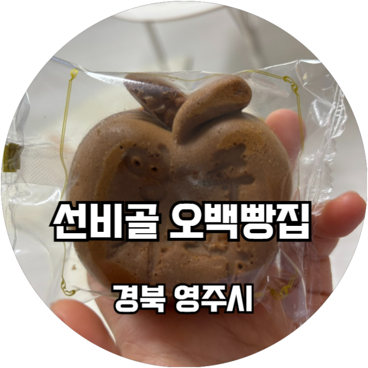  경북 영주 착한 가격 빵집 추천 선비골 오백빵집