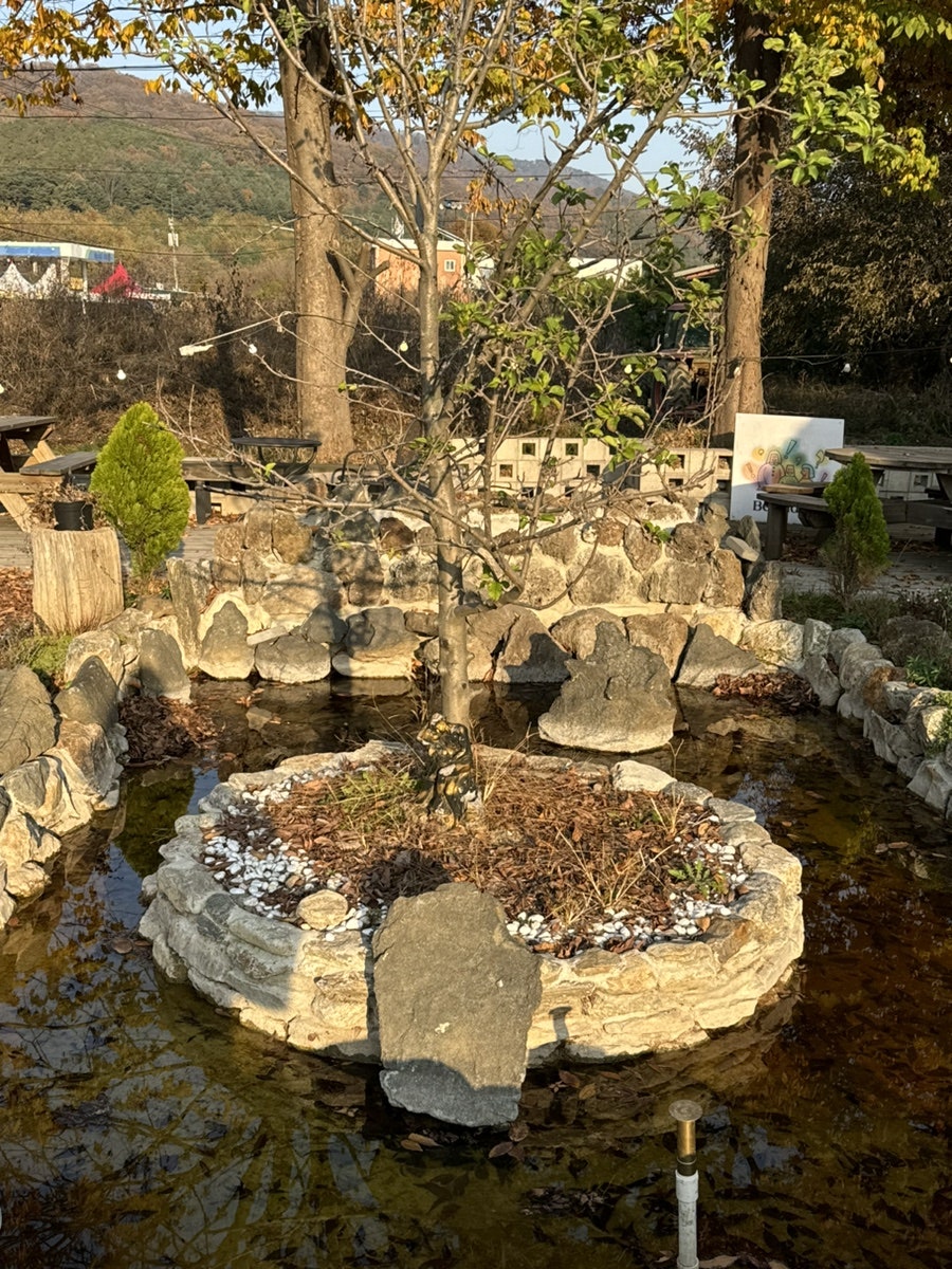 비헤브 사진 5