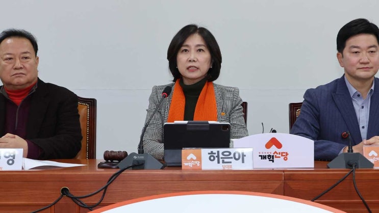 개혁신당 <b>허은아</b> 대표 직무 정지! 법원의 <b>가처분</b> 신청 <b>기각</b>... 
