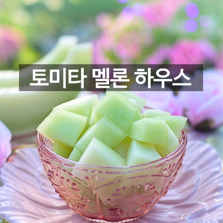  후라노 여행 필수 코스! 후라노 도미타 멜론 하우스 얼렁뚱땅 가이드