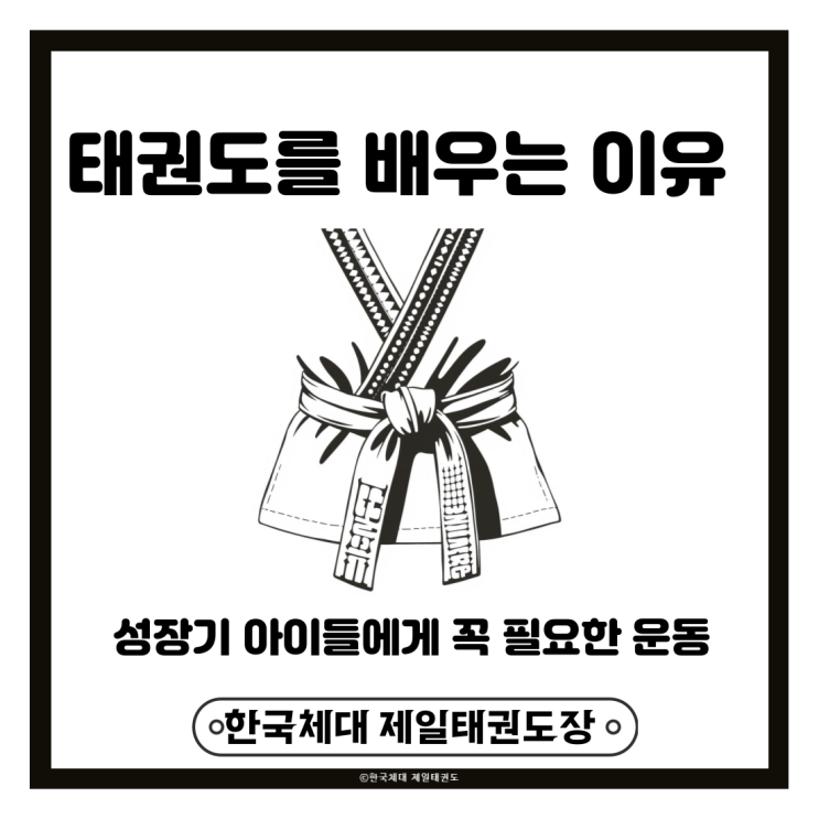  태권도를 배우는 이유는 성장기 아이들에게 꼭 필요한 운동