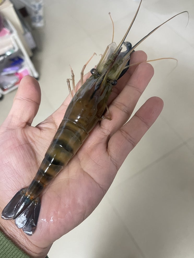  주문 실패한 오늘 술안주는 삶은 새우~!!