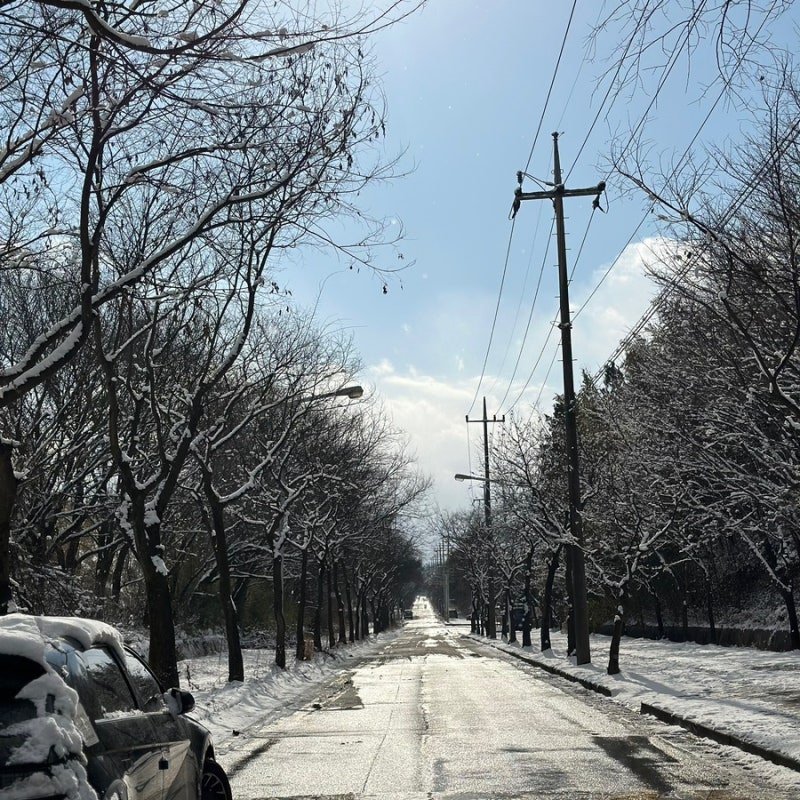 사진 3