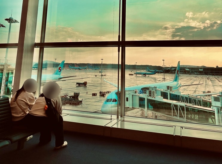 뉴질랜드 입국 대한항공 인천 오클랜드 직항 일반석 후기 기내식 비행시간 뉴질랜드 입국 대한항공 인천 오클랜드 직항 일반석 후기 기내식 비행시간