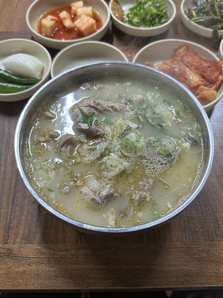  장성 맛집 점심장사만 하는 황룡우시장국밥 고기국수