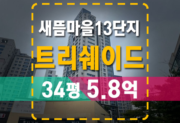  세종 새롬동 새뜸13단지 트리쉐이드 아파트 경매 방법