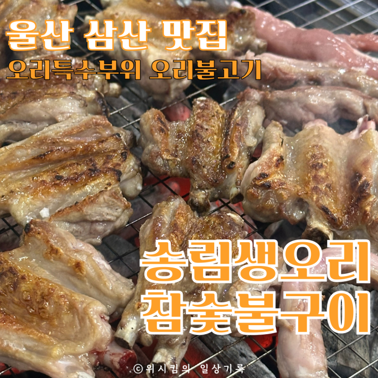  울산 삼산 고기 맛집 송림생오리 특수부위 구이 및 오리불고기 반마리 내돈내산