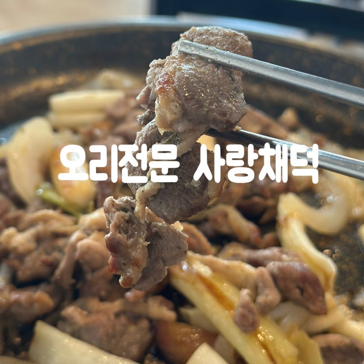  용인 수지구청 맛집 풍덕천 오리고기 사랑채덕