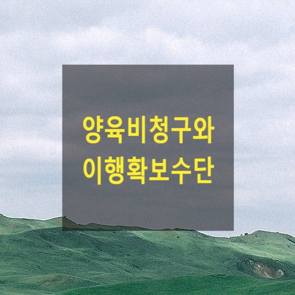  양육비를 주지 않는 경우 이행확보수단(사전처분, 가압류, 가처분, 직접지급 명령, 담보제공 명령, 일시금지급 명령, 감치, 이행명령, 금전임치) 양육비청구