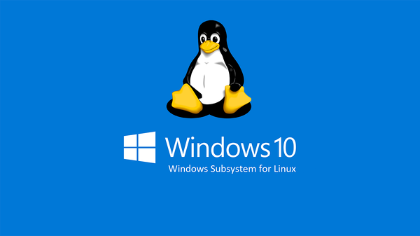 WINDOWS11 탐색기에서 WSL 리눅스 우분투 완전히 제거하는 방법 WINDOWS11 탐색기에서 WSL 리눅스 우분투 완전히 제거하는 방법