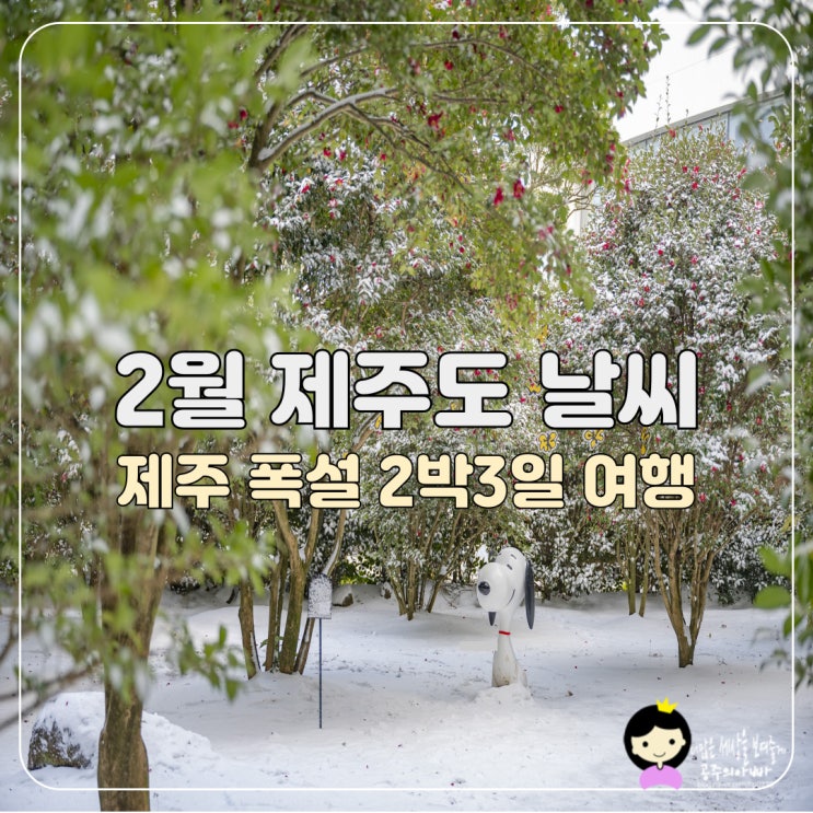 2월 <b>제주</b>도 날씨 <b>폭설</b>과 함께한 특별한 <b>제주</b> 2박3일 여행 후기