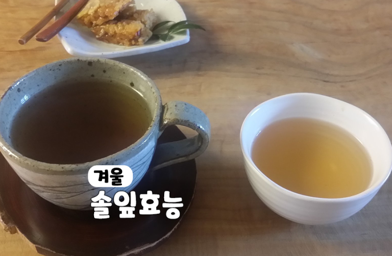 솔잎차 효능 솔잎 가루 효소 농축액 효능