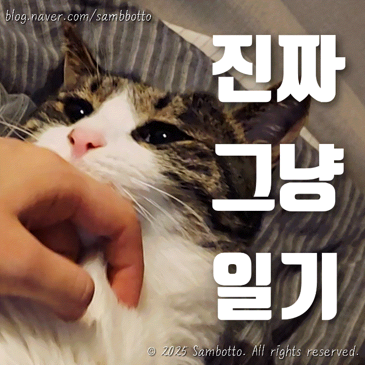 진짜 그냥 일기 | 오후 반차의 여유, 대형PX 국군복지단 일산점 방문, 오랜만에 손세차, 이불밖은 위험하니 집에서 곱창시켜먹기