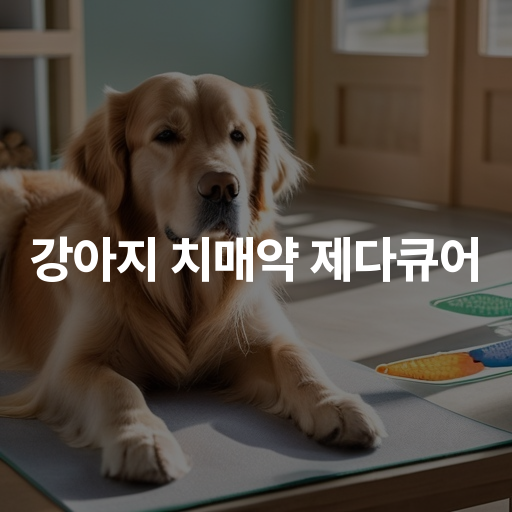 강아지 치매약 제다큐어 효과와 사용법 보호자 후기 정리