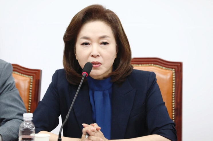 국민의힘 국회의원 <b>김민전</b>... 경력 윤석열 대통령 서울구치소 <b>면회</b>