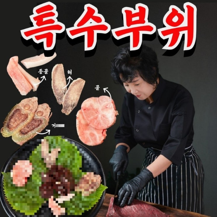  제주 말고기 맛집 영주말가든 코스 맛 충격 리뷰 (말 특수부위)