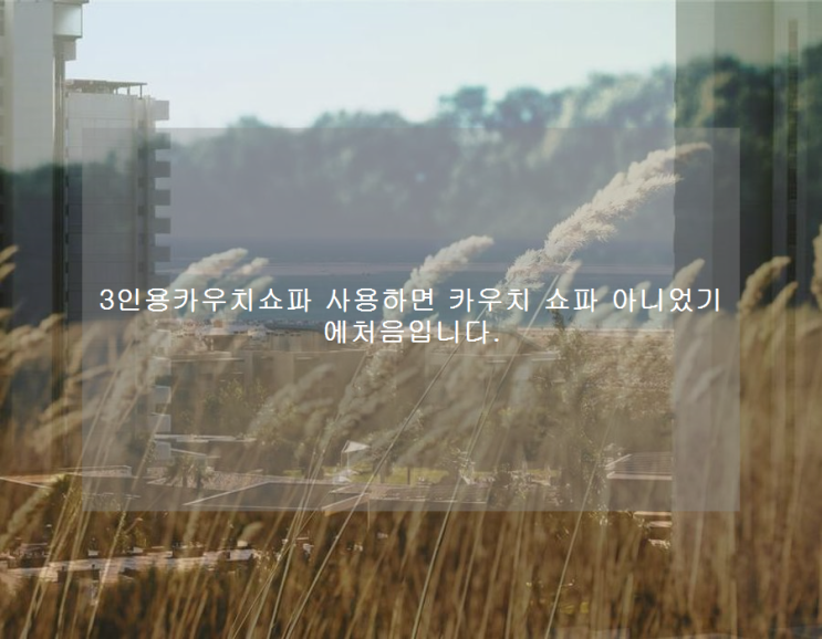  3인용카우치쇼파 사용하면 카우치 쇼파 아니었기에처음입니다.