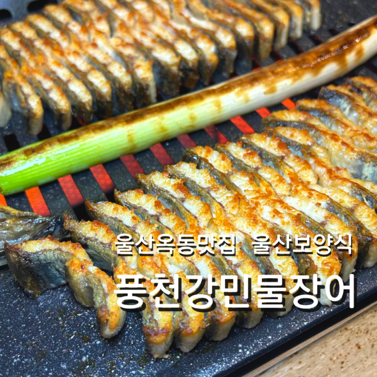 울산 옥동 맛집 풍천강민물장어 보양식 모임장소 추천