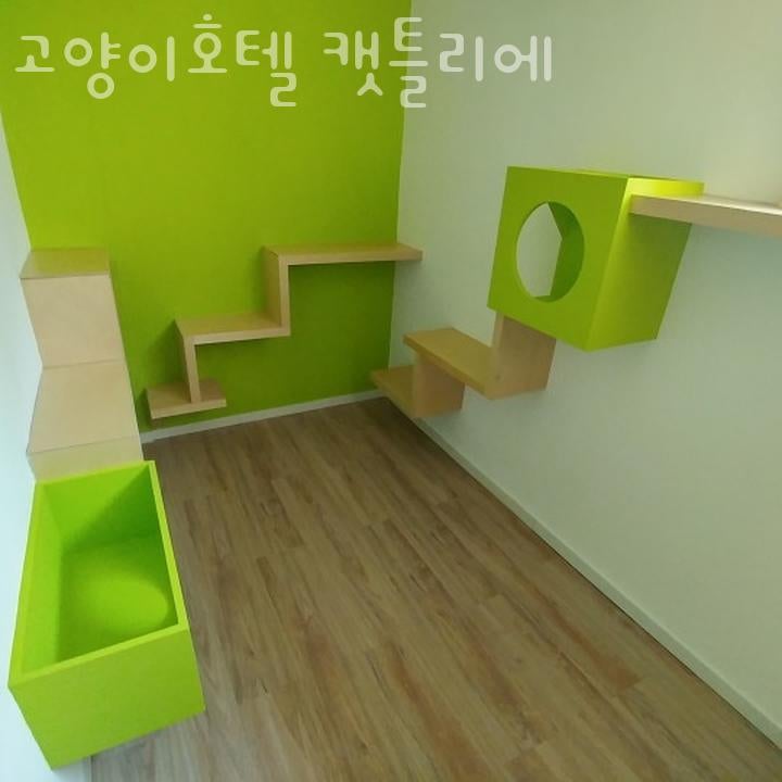 사진 2