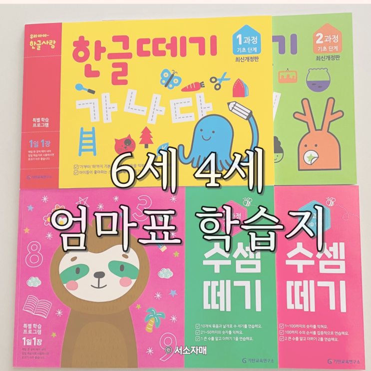  엄마표 학습지 6살 4살 공부습관 기르기 수셈떼기 한글떼기 놀이야공부야