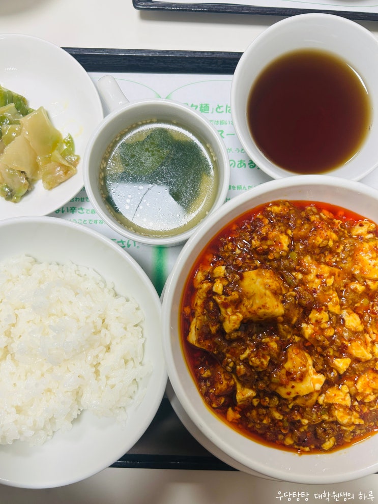 일본 후쿠오카 우히카 맛집 마보야 우키하 마파두부 맛집 탄탄면 점심 내돈내산 후기