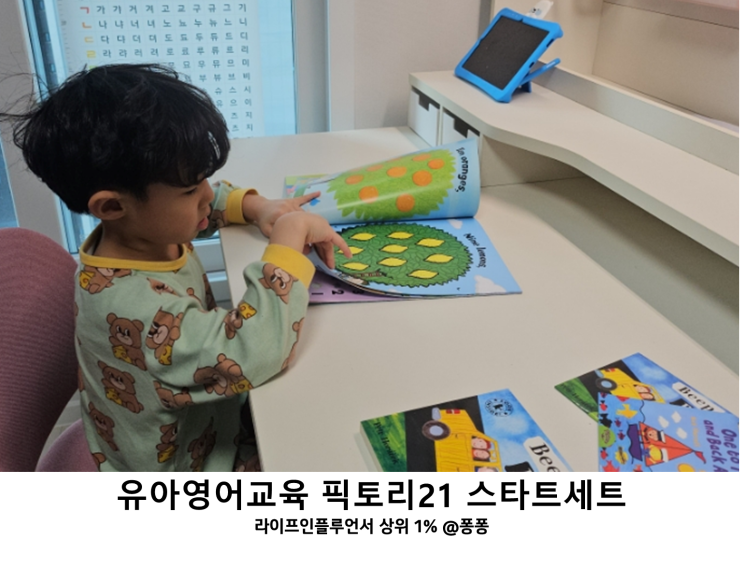  유아 영어교육 픽토리21 스타트 세트 유아 영어 책 육아 홈스쿨 DVD