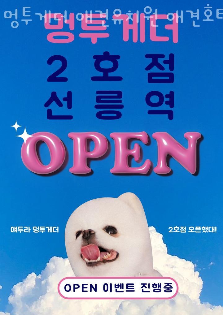 사진 2