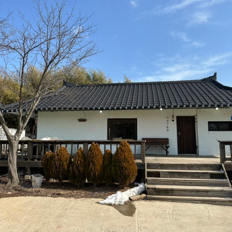 사진 5