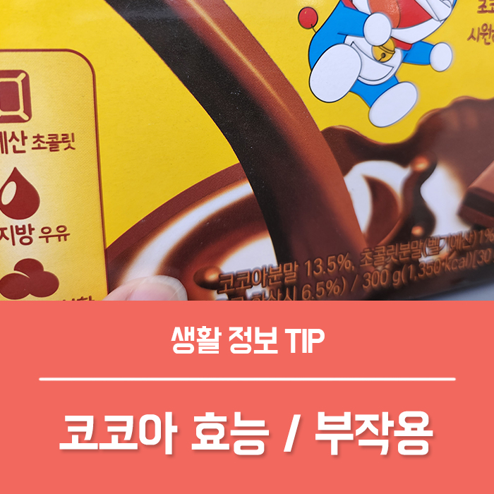  코코아 효능 TOP4, 코코아 카페인 함량 부작용은?