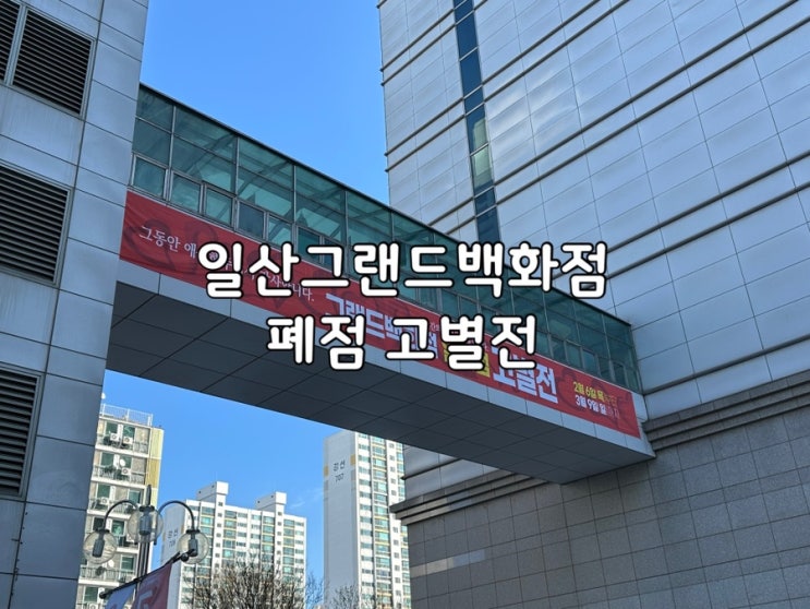  일산 그랜드백화점 폐점 고별전 방문 솔직후기 폴로주의