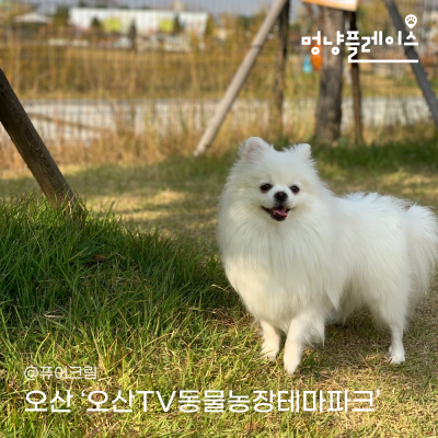 사진 6
