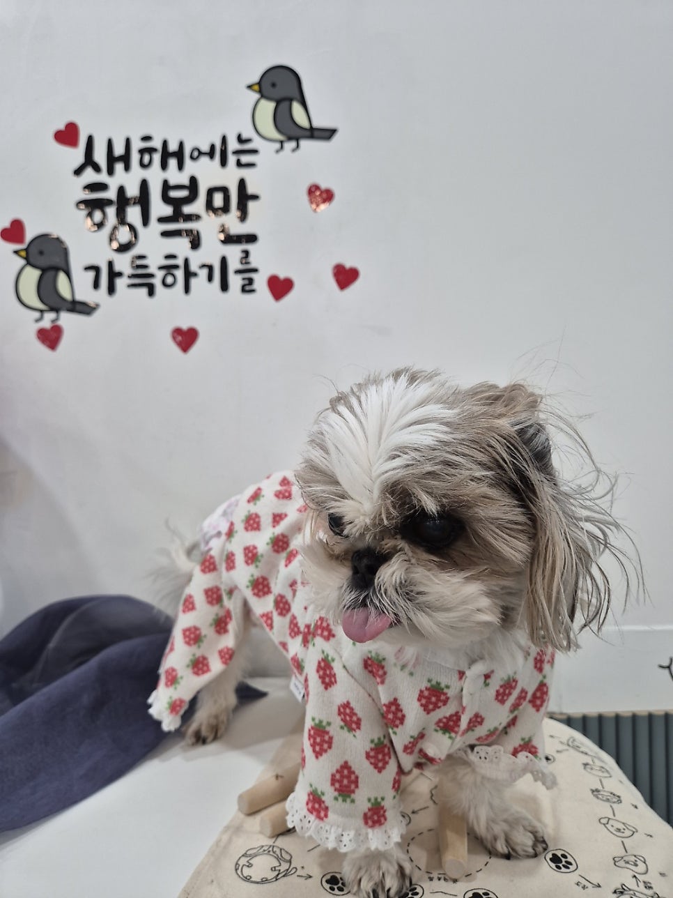 라레랑 사진 4