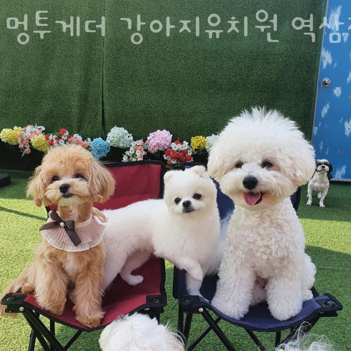 사진 4